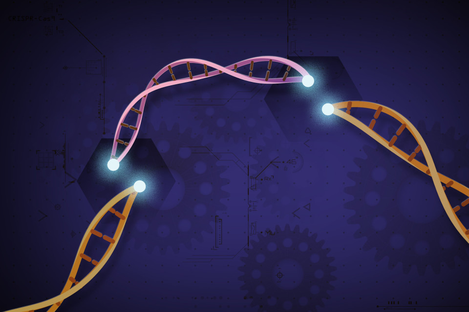 Digital illustration of CRISPR-Cas9 editing a DNA strand.