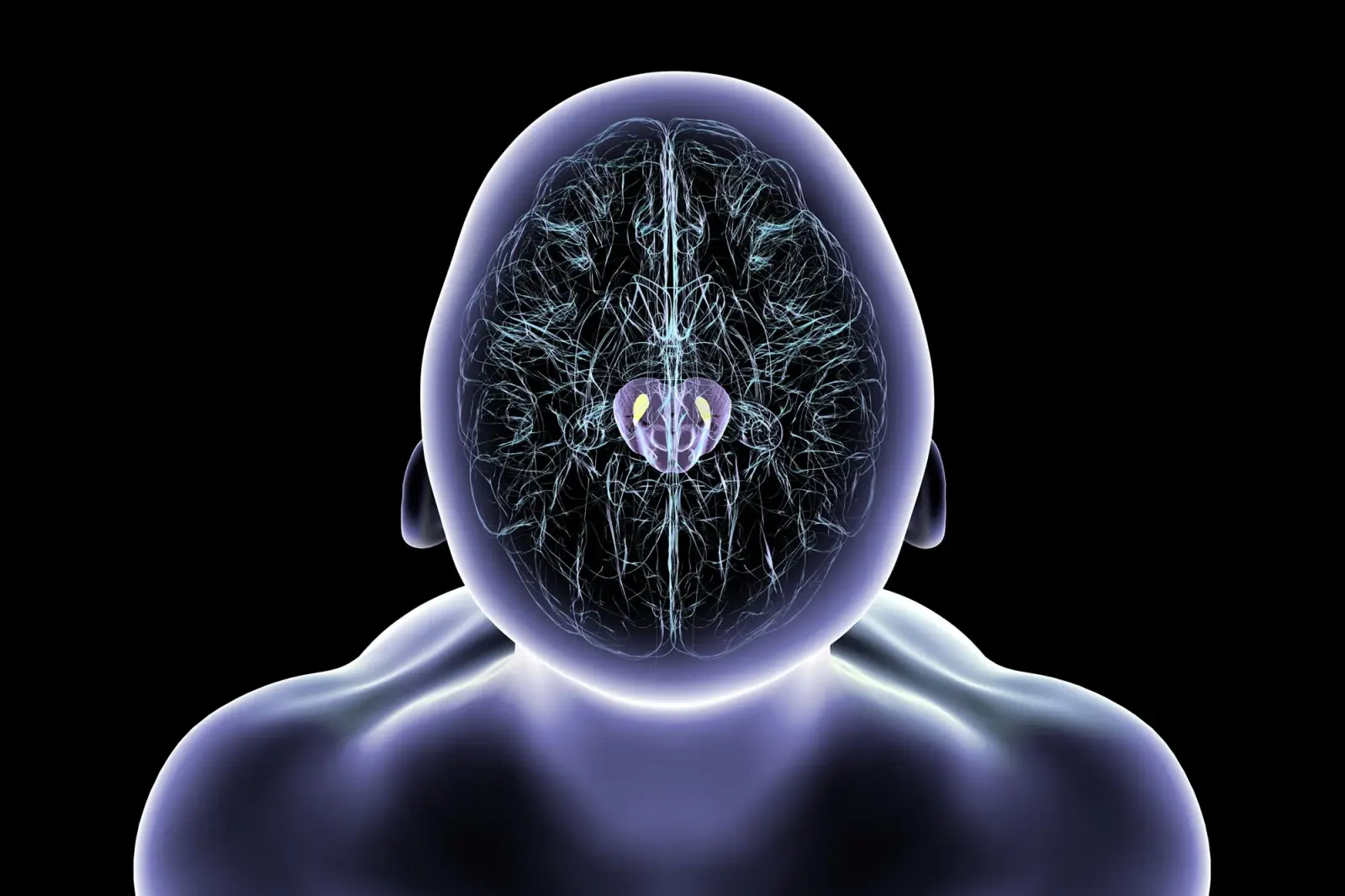 Magnetic Nanoparticles Improved Movement in Mice Without Permanent Brain Electrodes