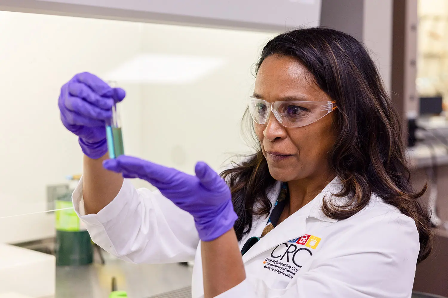 Scientists Want to Turn Ordinary Grass Into Car Parts, Packaging and an Entire New Industry