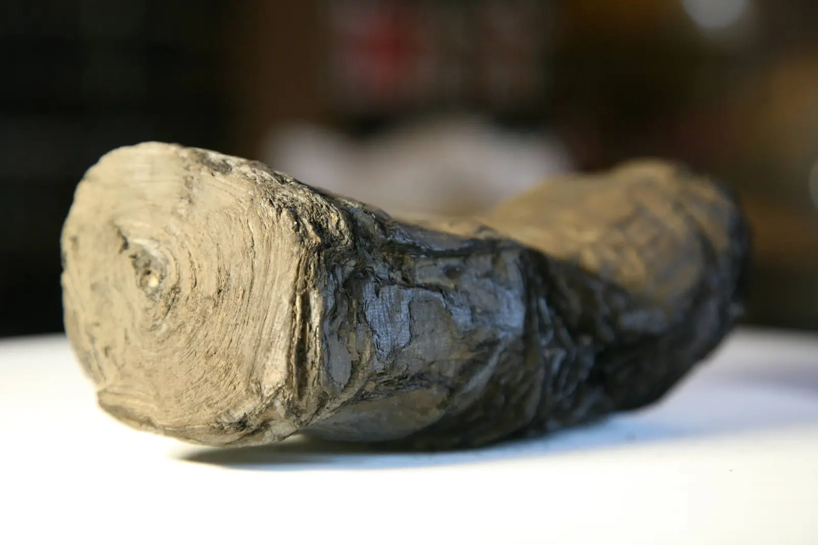 AI Reads a Herculaneum Scroll Sealed for Nearly 2,000 Years