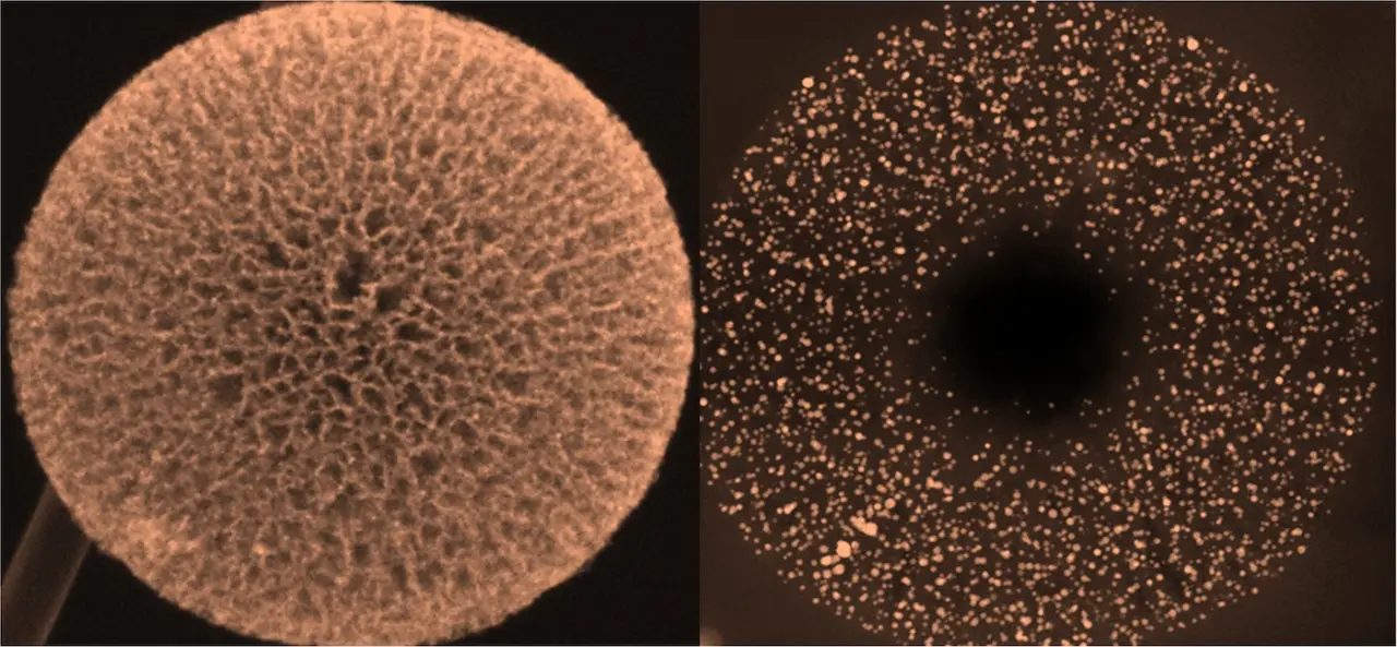 A Nanocarbon Cage Could Make Hydrogen Fuel Cells Cheap Enough for Data Centers