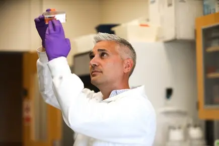 A Three-Drug Combination Cleared HIV From Baby Monkeys and Kept It Away for a Year