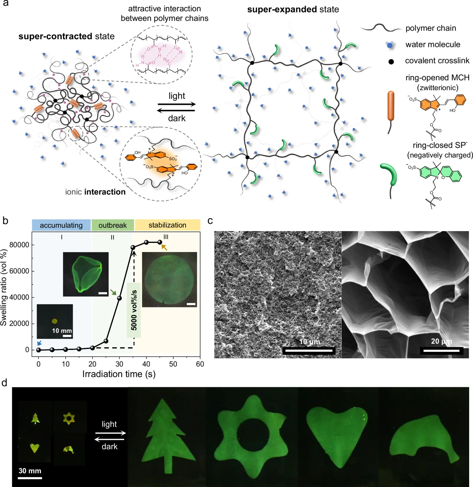 Light Made One Soft Material Twist, Spin and Reset