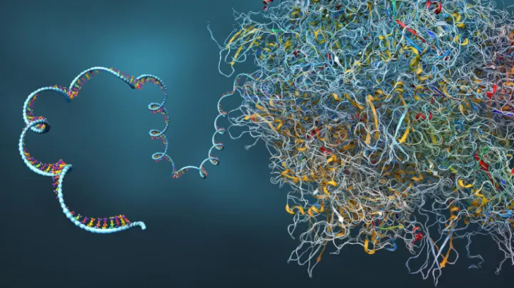 Engineered tRNA Restored a Missing Protein in Cystic Fibrosis Models