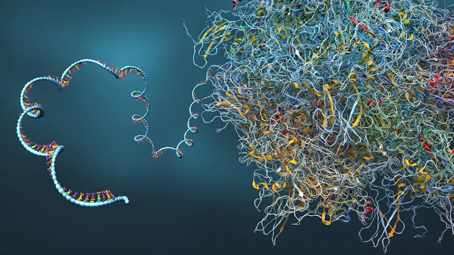 Engineered tRNA Restored a Missing Protein in Cystic Fibrosis Models