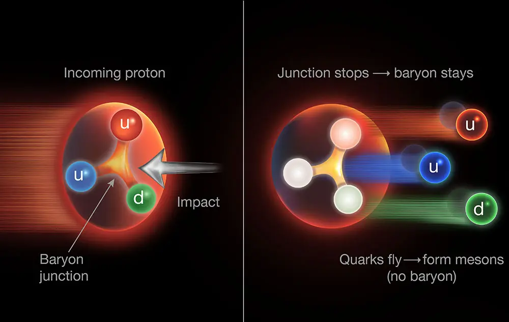 Scientists May Have Found Why Protons Never Fall Apart