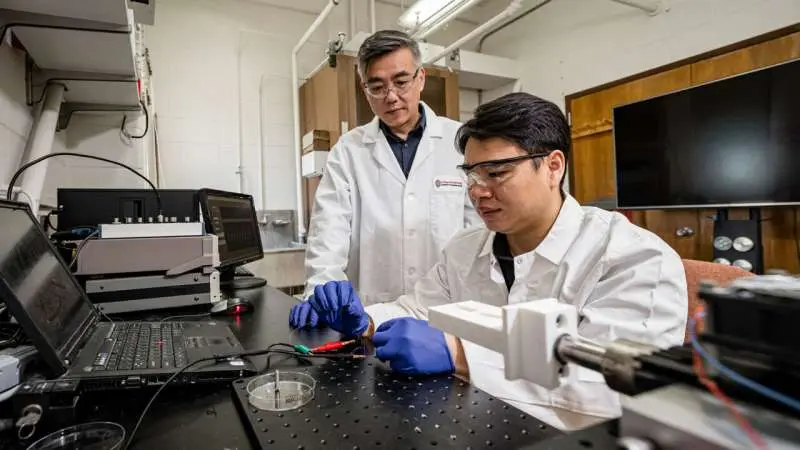 A Heartbeat-Powered Pacemaker Worked in a Pig for One Month