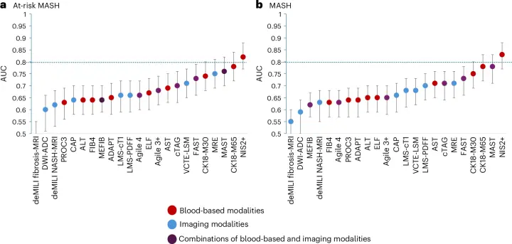 Blood Tests and Liver-Stiffness Scans Could Spare Some Fatty-Liver Biopsies