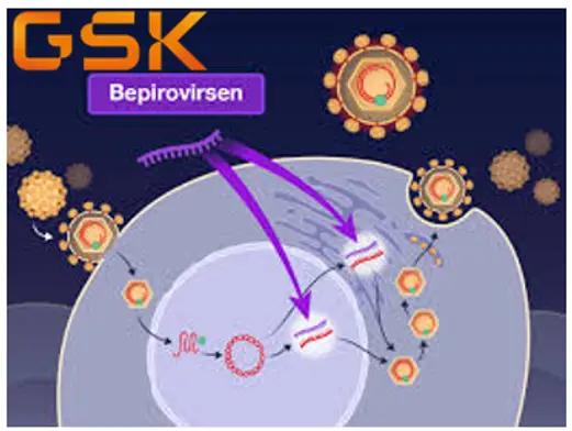Hibsago Opens a Narrow Path Beyond Lifelong Hepatitis B Suppression